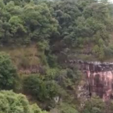走进乡村看小康丨飞檐走壁采药人 小小石斛大产业