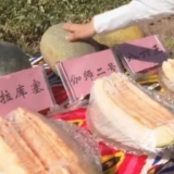 甜甜新疆伽师瓜迎客来 援疆助力“走出去”