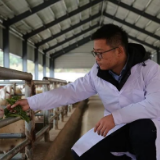 山中青年第二季·百年青春｜助力西部乡村振兴的东部“羊倌”