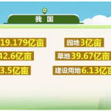 自然资源部：我国生态建设取得积极成效 10年间林地、湿地河流水面等地类合计增加2.6亿亩