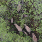 【在昆外国人看昆明】卢克:昆明是展开生物多样性对话的绝佳之地