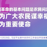 咱村这些事儿，总书记很挂心！