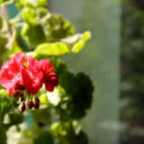 万人说新疆丨你见过像家一样的楼道吗