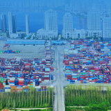 武汉向东 “新”光灿烂 2021这些精彩瞬间诠释不一样的新洲