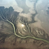 【开局十四五】山东：为鸟儿让路绘就黄河新画卷 “四新”经济赋能齐鲁“蝶变”