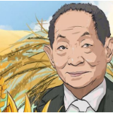 “五个一百”手绘漫画｜我，就是中国！
