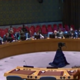 全球连线｜中方呼吁帮助非洲国家政府加强管理自然资源能力