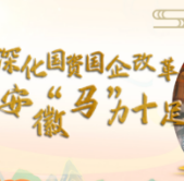 【习声回响·新征程】深化国资国企改革 安徽“马”力十足