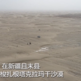 全球连线｜60万株梭梭扎根沙漠 新疆且末县构筑绿色屏障
