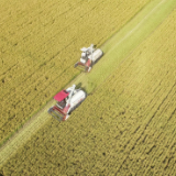 如何实施新一轮千亿斤粮食产能提升行动?专家这样解读