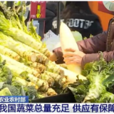 农业农村部：我国蔬菜总量充足 供应有保障 价格将呈现季节性回落
