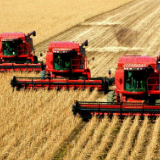 习近平总书记关切事丨黑土地上的大豆新事