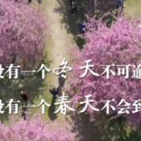 迎战奥密克戎:中国“动态清零”进行时!