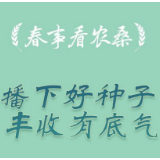 春事看农桑丨播下好种子，丰收有底气