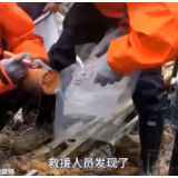 寻找“黑匣子”：内部结构什么样？为什么有信号发射器仍难找寻？