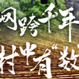 网跨千年,村中有“数”——“数字乡村”赋能西部发展观察