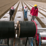 新华全媒+｜农业无人机“4S店”亮相新疆产棉大县