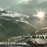 美如画！当描写春天的华丽辞藻成为现实