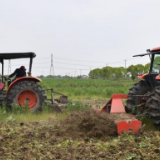 上海市奉贤区防疫不误农时