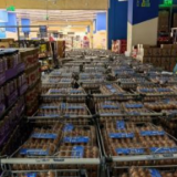 守“沪”日志：2600余袋生活物资的“最后100米”