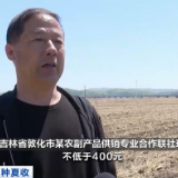 夏种夏收 | 吉林省：超额完成任务 落实大豆播种面积464.5万亩