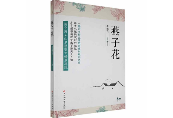 《燕子花》：资水下游乡村变革的一幅画卷