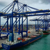 琼州潮涌展宏图——沿着总书记的足迹之海南篇