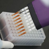 北京昨日新增1例本土确诊病例、8例无症状感染者