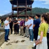 【大国“粮”策】桐庐分水镇：水稻栽培技术送进村 种粮大户打开新思路
