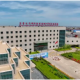 时政现场说丨打造向西开放高地 新疆向世界敞开机遇大门