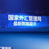 国家外汇管理局 5月国际货物和服务贸易顺差创年内新高