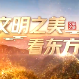 视频｜文明之美看东方丨二里头夏都遗址：夏朝规划的九宫格