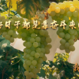 我与总书记“同框”｜好日子都是靠奋斗来的