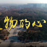 英雄回家 | 遗物的心声