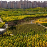 动起来的VR | 高分美景，平分秋色！