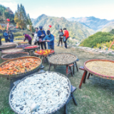 “小山村”何以惊艳“大世界”