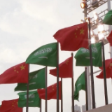 从“大写意”到“工笔画”丨沙特的绿色未来