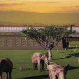 “一带一路”·大道同行｜④ 守护共同家园