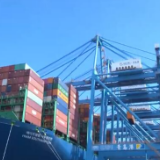 各领域凝心聚力创佳绩 打造产业矩阵支撑高质量发展