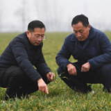 新华全媒+丨从厂区到地头——河南化肥生产运输提速备春耕
