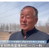 科技赋能 新疆65万亩棉花全面开播