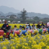 参考消息特稿 | “千万工程”20年实践激发世界回响