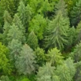 用最严格制度、最严密法治保护生态环境 维护人民群众环境权益