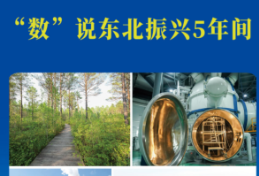 潮头观澜 | “数”说东北振兴5年间