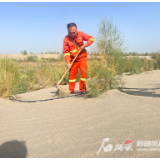 高质量发展调研行｜阿瓦提县24万亩荒漠披绿装