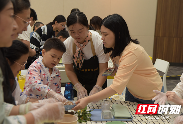 14组家庭欢聚长沙博物馆 制作月饼共庆中秋佳节
