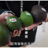 新闻周刊丨80元1个→36.9元8个 来进博会实现牛油果“自由”