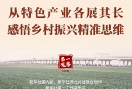 第一观察｜从特色产业各展其长感悟乡村振兴精准思维