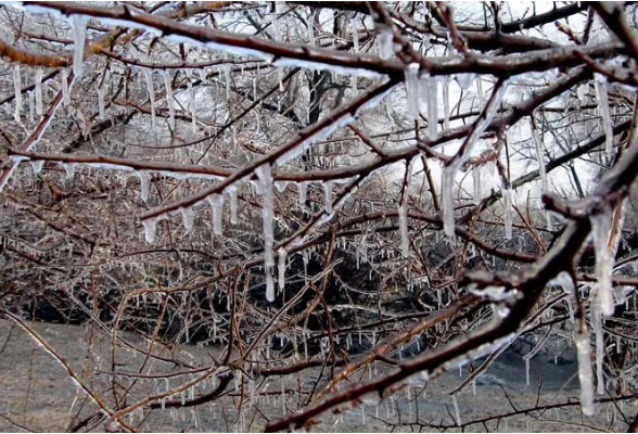 湖南发布低温雨雪冰冻橙色预警！冻雨、雨夹雪或雪齐登场！出行需特别注意