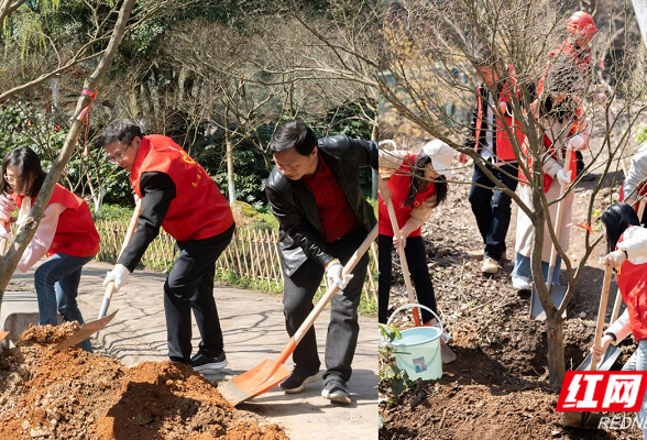 助力岳麓山生态林修复 雪天盐业“认下”养护林